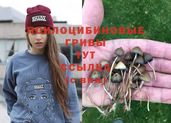 спиды Заволжье