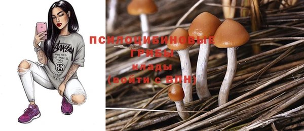 прущая мука Заволжск